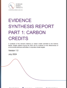 Evidence Synthesis Report Part 1: Carbon Credits
